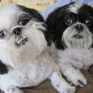 Meet your Posher, Maureen